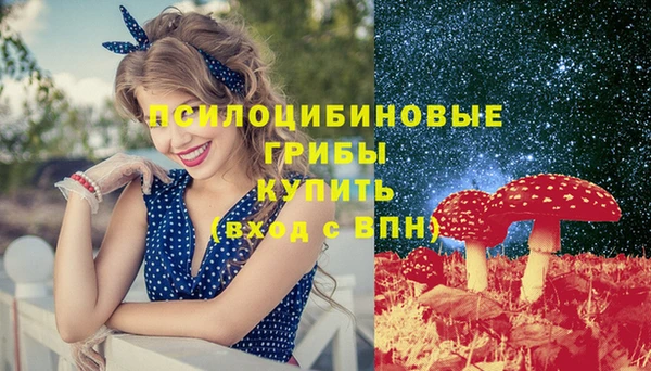 герыч Вязьма