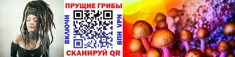 Галлюциногенные грибы Magic Shrooms  Купить  Харабали 
